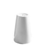 ΠΙΠΕΡΙΕΡΑ RAY ΠΟΡΣΕΛΑΝΗΣ