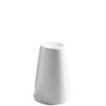 ΑΛΑΤΙΕΡΑ RAY ΠΟΡΣΕΛΑΝΗΣ