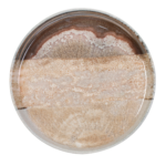 ΠΙΑΤΟ ΕΠΙΠΕΔΟ FLAT NATURA 21 CM NEW BONE CHINA